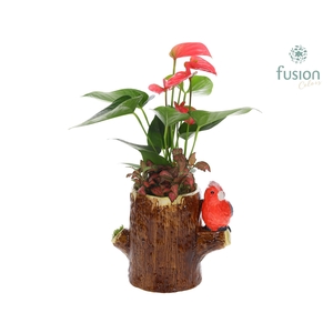 Keramiek boomstam planter met Arrangement