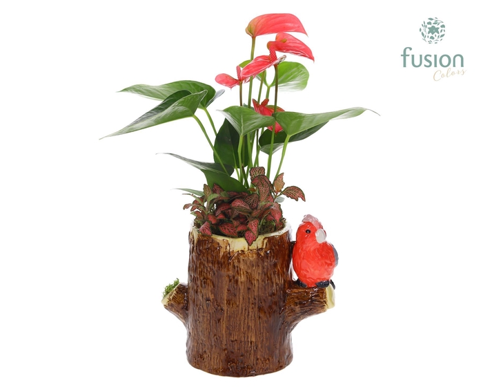 <h4>Keramiek boomstam planter met Arrangement</h4>