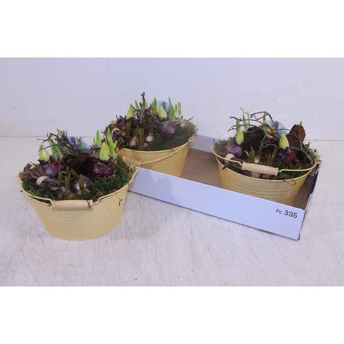 <h4>ARR BOL KNOLGEWAS</h4>