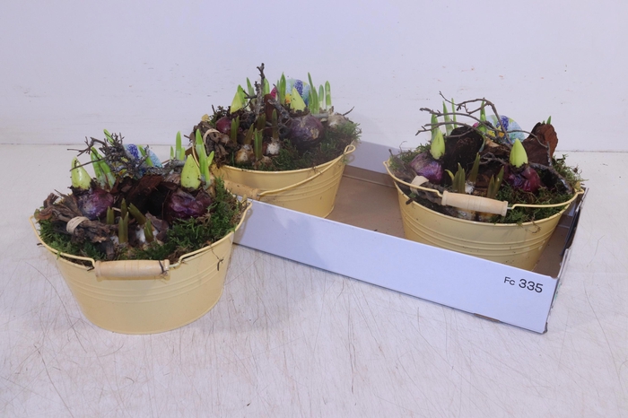 <h4>ARR BOL KNOLGEWAS</h4>