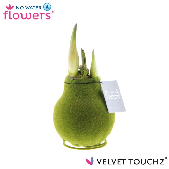 <h4>No Water Flowers Velvet Touchz® Moss Green</h4>