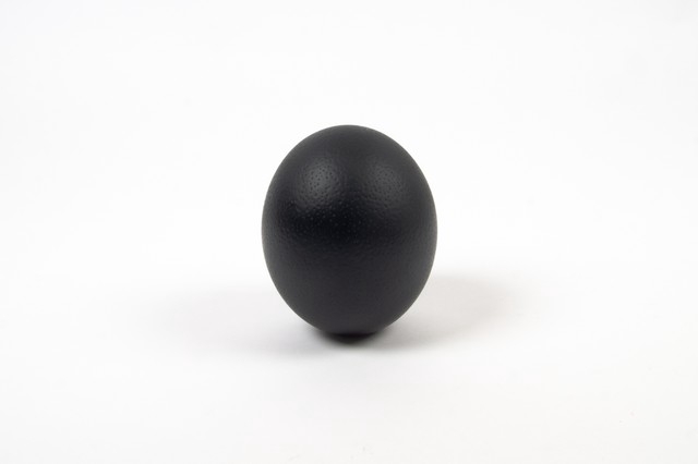 Egg ostrich paint black