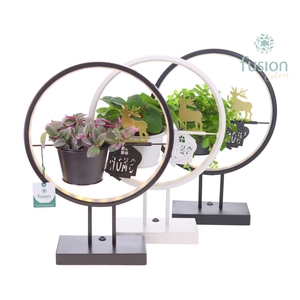 Metalen LED globe met LoveHome en groene planten mix