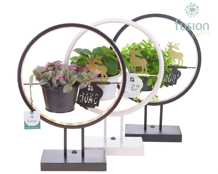 <h4>Metalen LED globe met LoveHome en groene planten mix</h4>