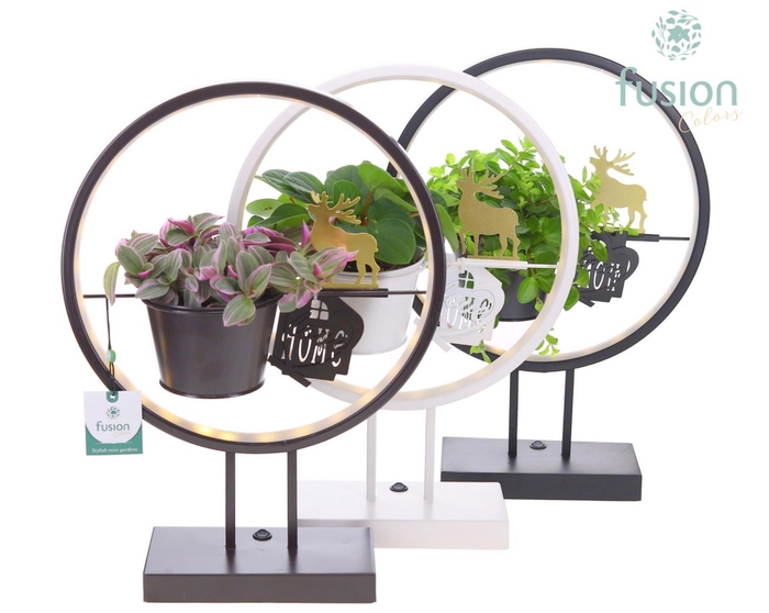 <h4>Metalen LED globe met LoveHome en groene planten mix</h4>