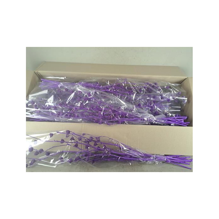 <h4>Df Lavatera Bs Purple 120g</h4>