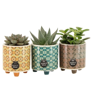 55000197: Solutionss