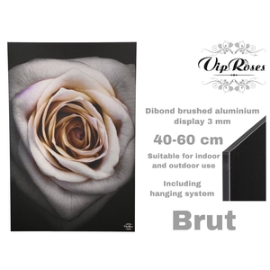 Display Brut