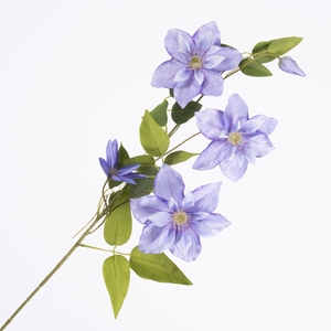 Clematis Spray Lavender FL440354LAV