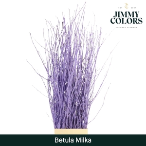 Betula L120 Milka
