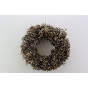 Wr Iron Grass 45cm