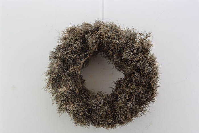 <h4>Wr Iron Grass 45cm</h4>