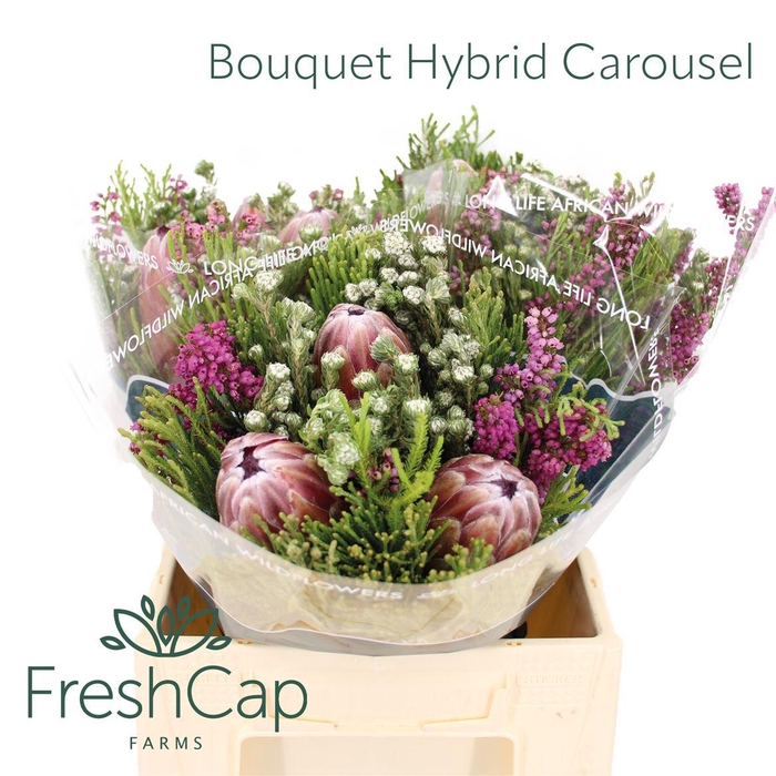 <h4>Bouquet Hybrid Carousel</h4>