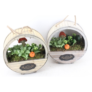 Arr2 Td - Houten Wiel X4