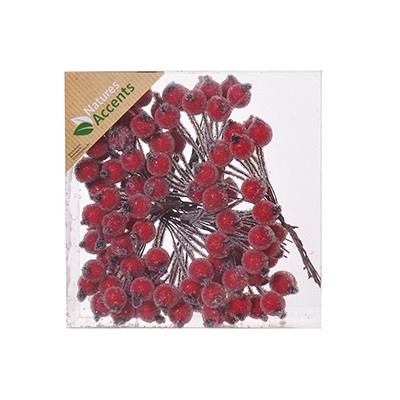 <h4>Herfst Bes frosted/draad d1cm x120</h4>