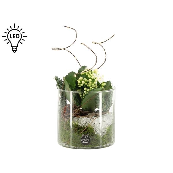 <h4>61699: X-mas arrangement</h4>