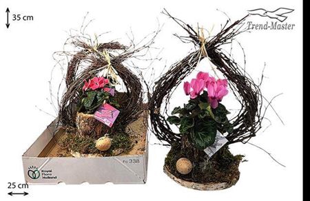 <h4>ARR TUINPLANTEN</h4>