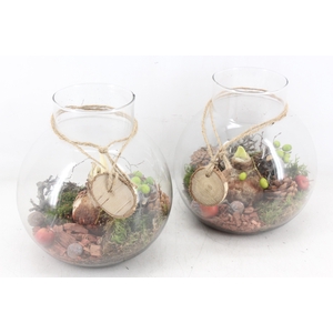 arr4 Amaryllis MB - Glas bol nek 285/4 RD