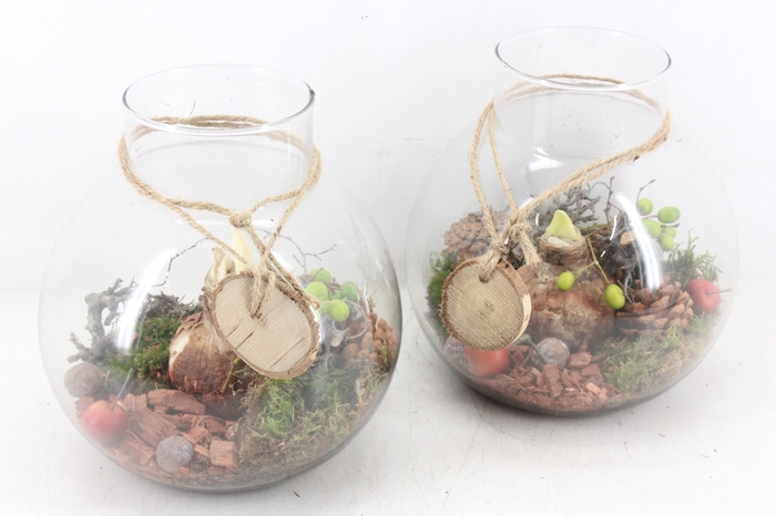 <h4>arr4 Amaryllis MB - Glas bol nek 285/4 RD</h4>