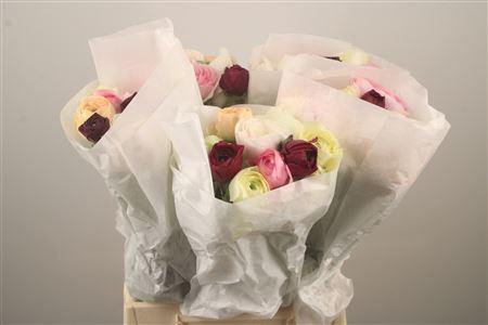 <h4>Ran Su Mixed</h4>