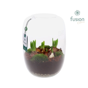 Green Bottle Isabella XLarge met Bollen mix