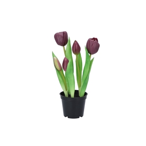 Silk Tulip In Pot 5x Purple 26cm Nm