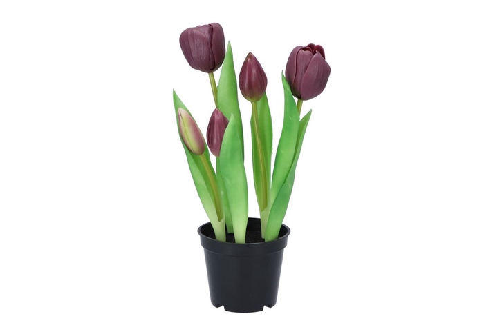 <h4>Silk Tulip In Pot 5x Purple 26cm Nm</h4>