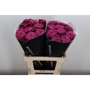 R Wx (rn) Cerise Glitter