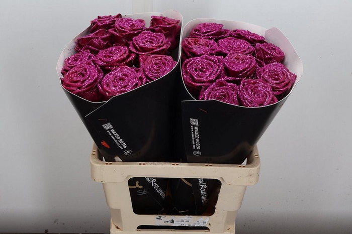 <h4>R Wx (rn) Cerise Glitter</h4>