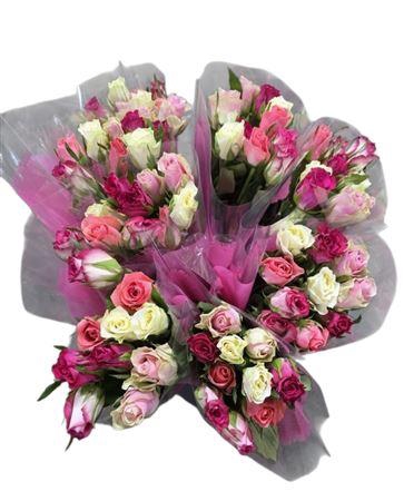 <h4>R Gr Pastel Mix</h4>