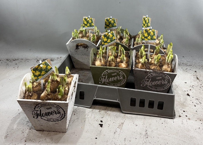 <h4>ARR N TETE A TETE</h4>