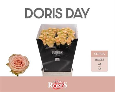 <h4>R Gr Doris Day</h4>