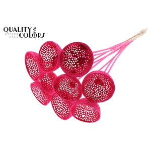Bell Cup Jali on stem Intense Cerise