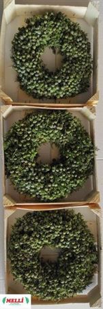 <h4>Sierfruit Krans Juiniperus 30 Cm</h4>