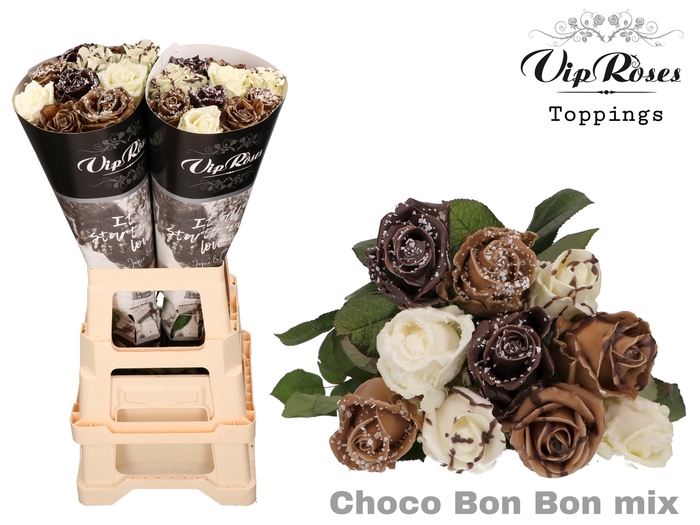 <h4>R GR CHOCO BONBON MIX X20</h4>