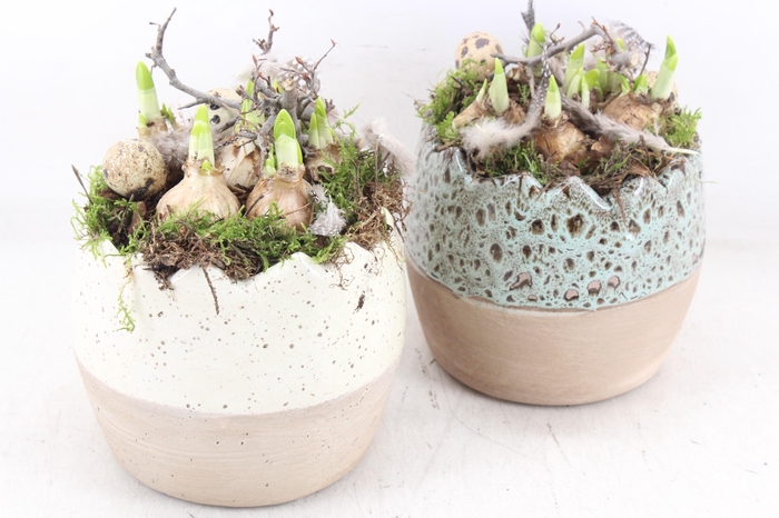 <h4>arr4 Narcis MB - Bleu/white half egg x3</h4>