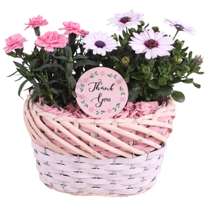 Mothersday Arr. Outdoor Willow Basket Oval Threetone Ø22cm 2PP