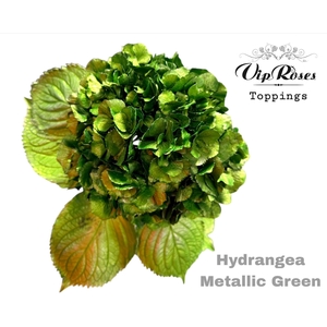 Hydr M Metallic Green