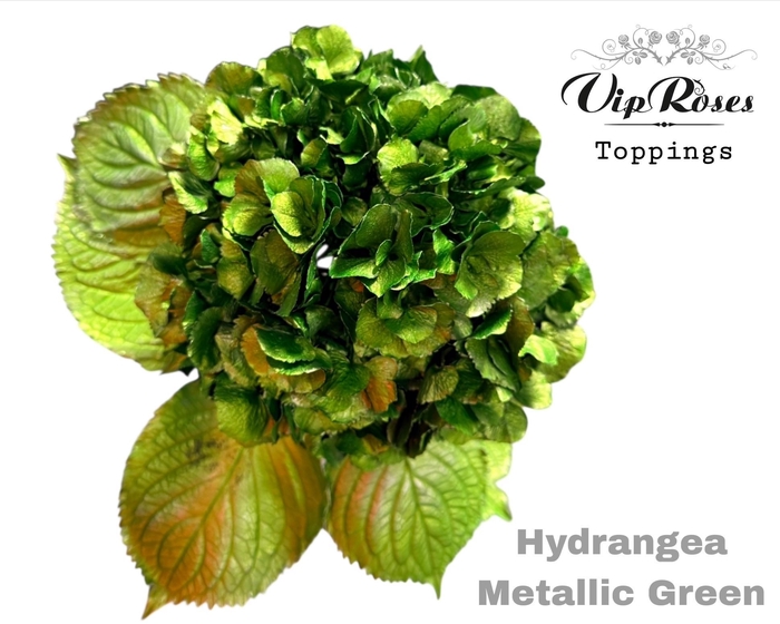 <h4>HYDR M METALLIC GREEN</h4>