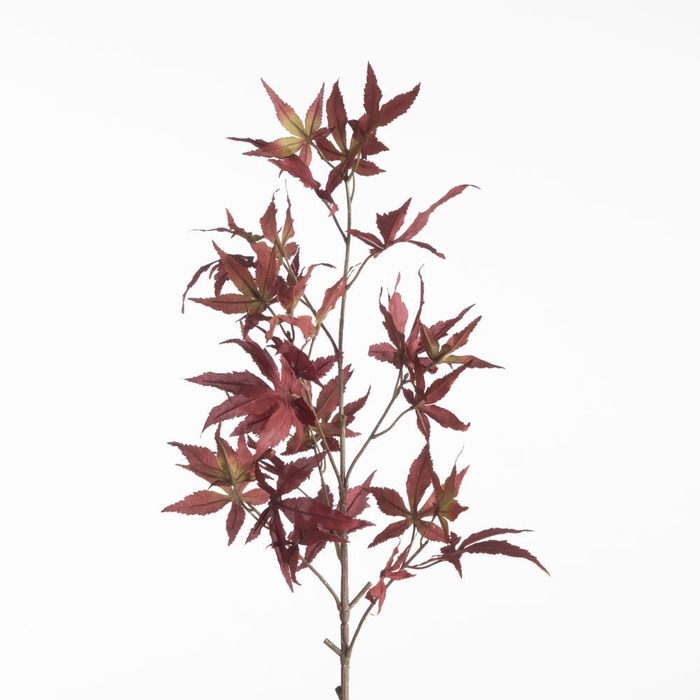 <h4>AF Maple Spray L79cm Red</h4>