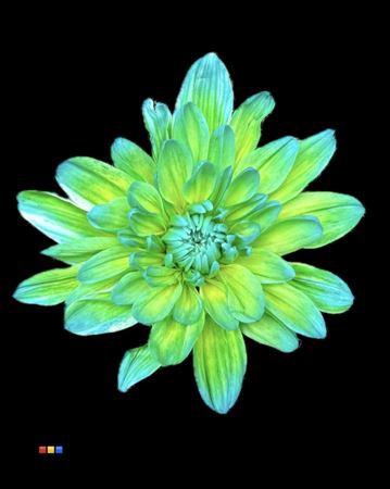 <h4>Chr T 2 Kl Baltica Double Mint</h4>