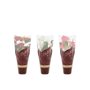 Anthurium 3 color mix in Couture Diamond sleeve