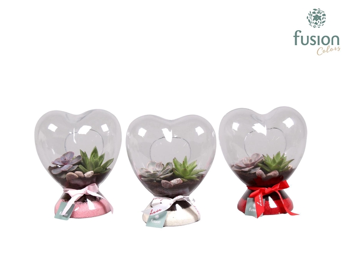 <h4>Green Bottle hart met succulenten</h4>