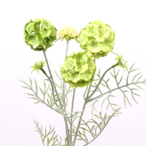 AF Scabiosa ball spr L61cm gr