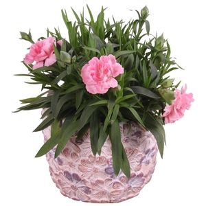 Spring Flower Arr. Outdoor Ceramic Pot with Flower Deco Ø11cm 1P