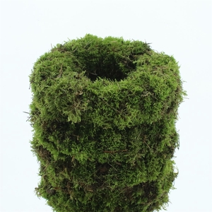 Wreath Moss Fresh 30cm