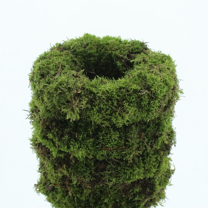 <h4>Wreath Moss Fresh 30cm</h4>