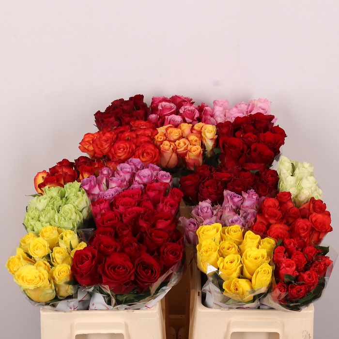 <h4>R GR GEM IN FUST</h4>