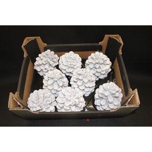 Pinea White Glitter