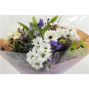 Boeket Bied Blauw
